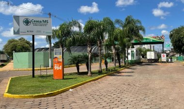 Com 176 mil toneladas comercializadas, Ceasa-MS marca 46 anos de expansão no Estado