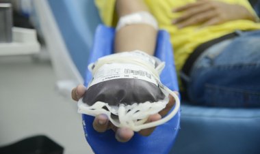 Dia Nacional da Doação de Sangue: Hemocentro de Paranaíba reforça importância da doação de sangue e apresenta situação atual dos estoques