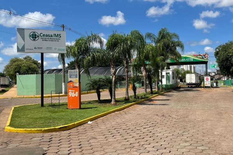Com 176 mil toneladas comercializadas, Ceasa-MS marca 46 anos de expansão no Estado