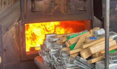 Mais de 7 toneladas de drogas serão incineradas em ação coordenada pela Polícia Civil