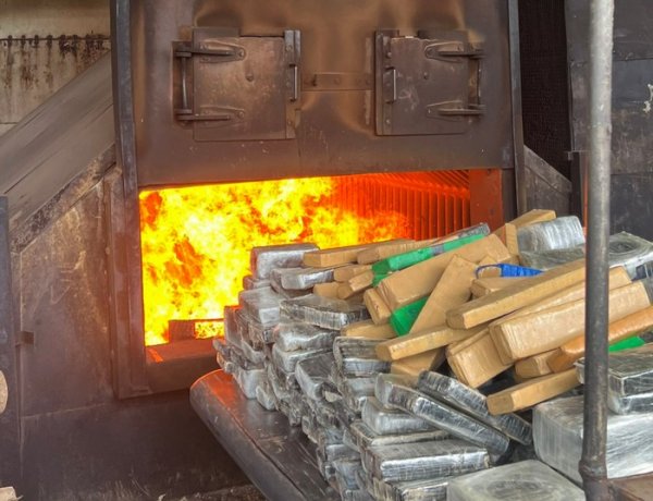 Mais de 7 toneladas de drogas serão incineradas em ação coordenada pela Polícia Civil