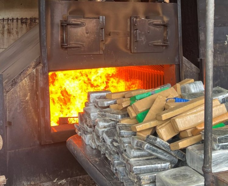 Mais de 7 toneladas de drogas serão incineradas em ação coordenada pela Polícia Civil